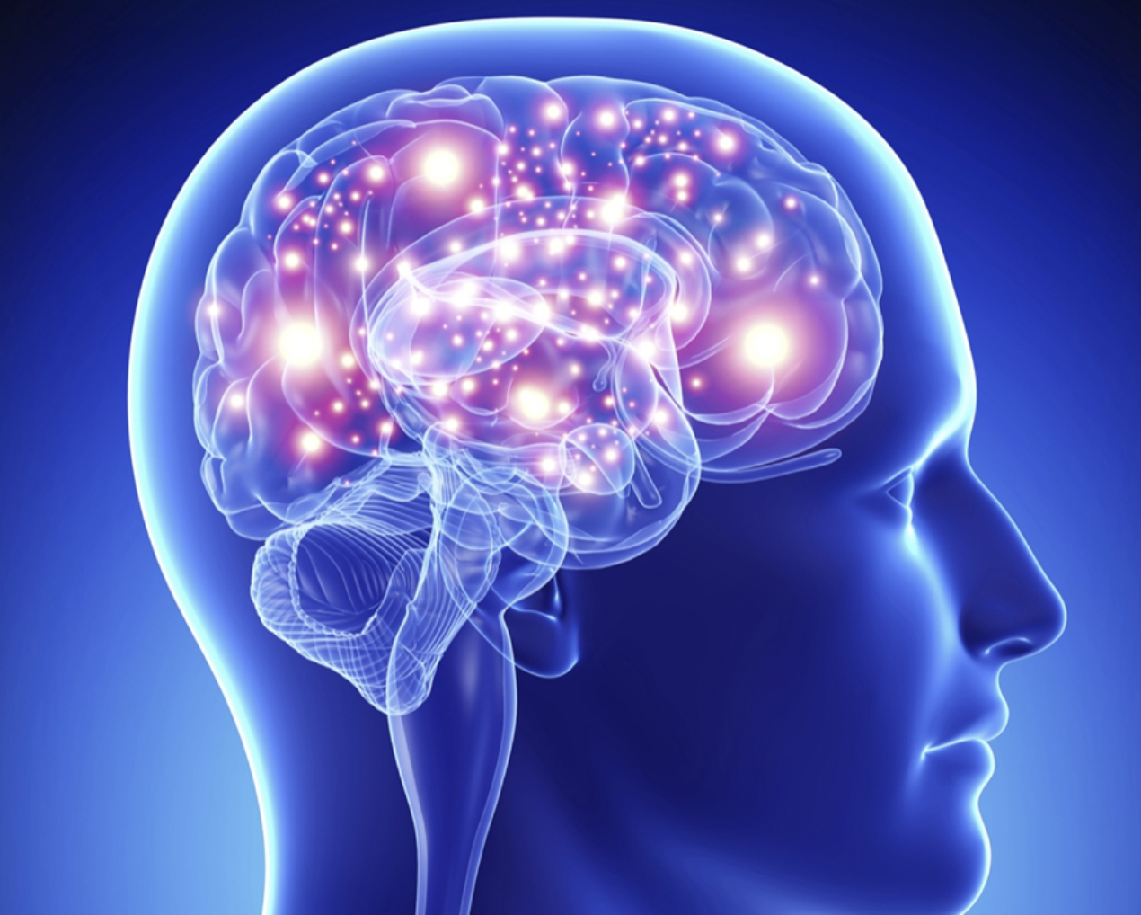 brain art image